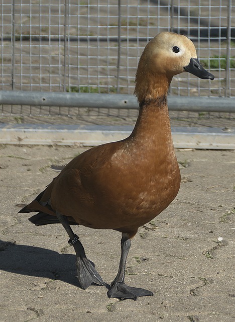 尤其是在中