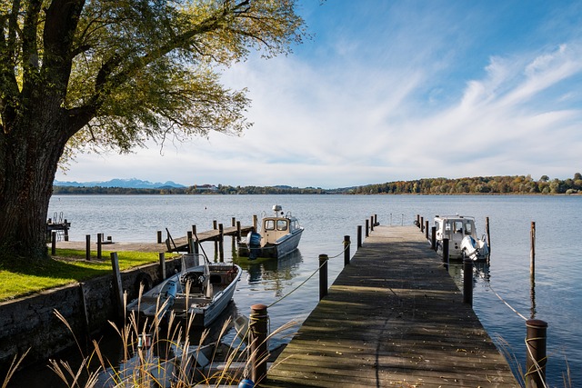 使得这场 使得这场