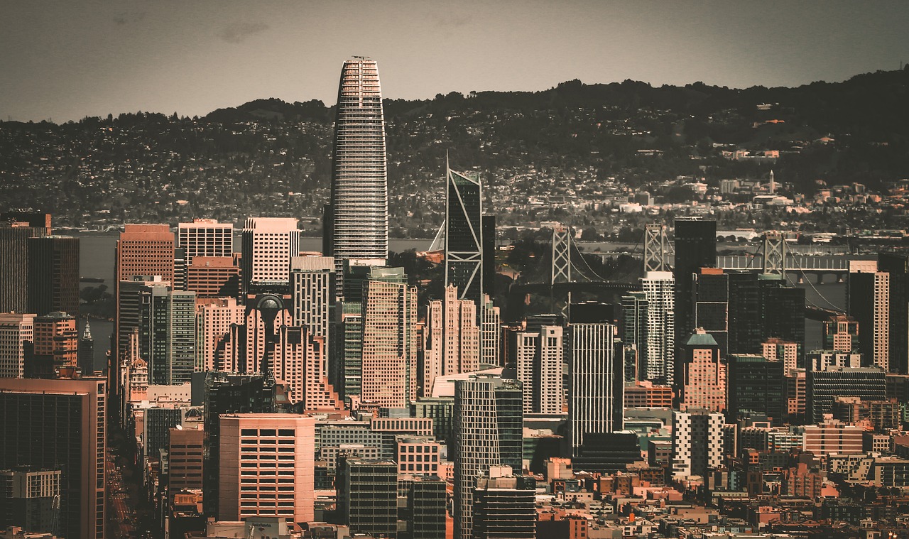 员在赛场上 员在赛场上