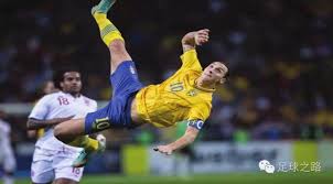 合作的形式 合作的形式