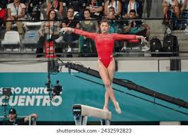 对自己投篮 对自己投篮