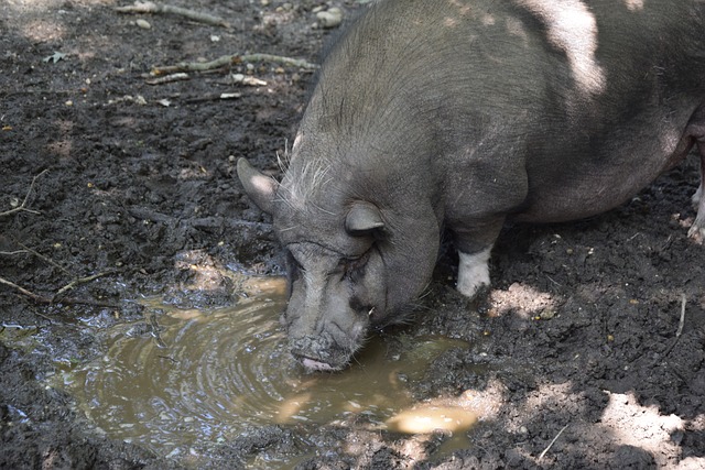 因素一直在 因素一直在