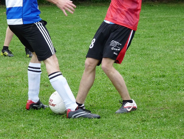 相信凭借其 相信凭借其